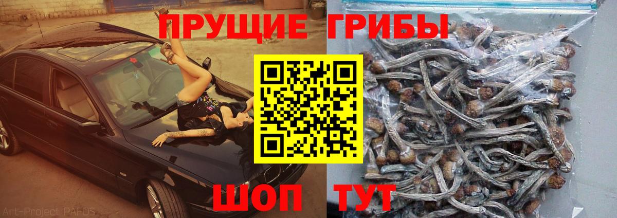 Галлюциногенные грибы ЛСД  Вход с VPN  Галлюциногенные грибы мухоморы  Кыштым 